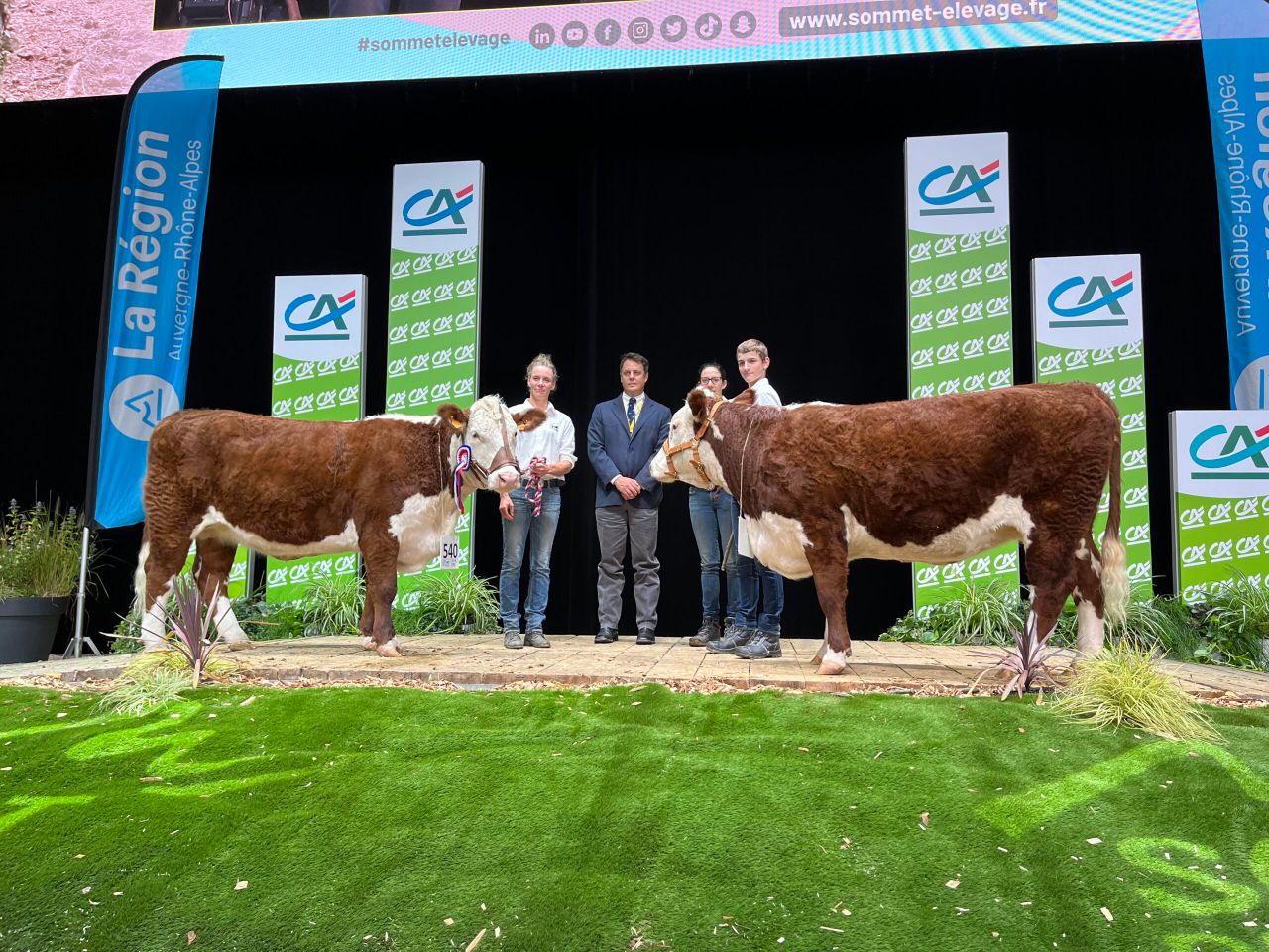 Ireland to host next European Hereford Breed Conference