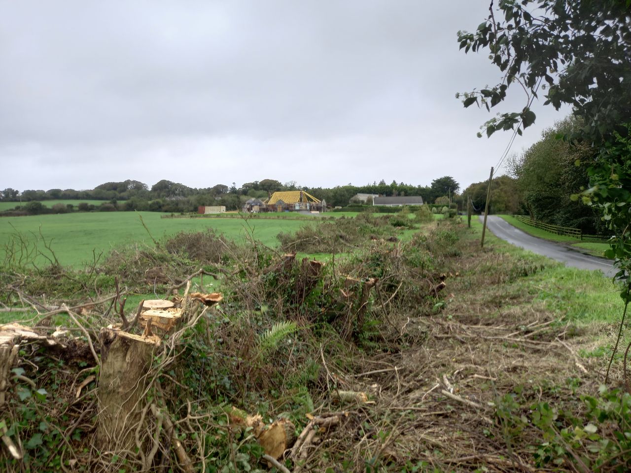 Letter to the editor: Stop butchering our hedgerows