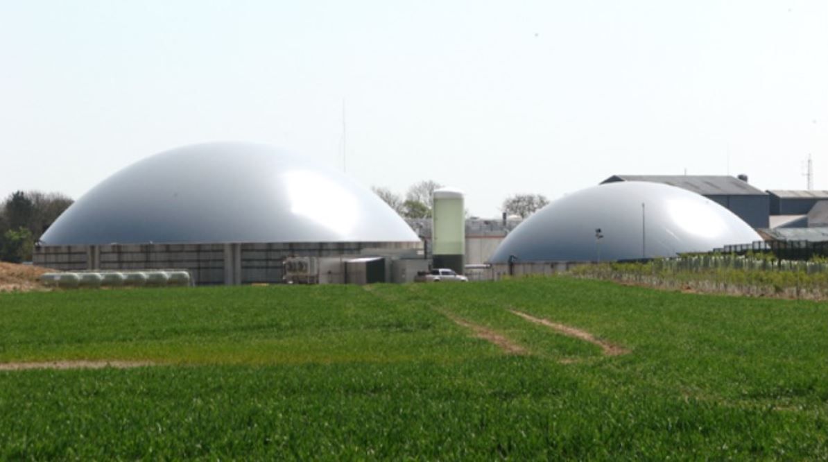 Ballymahon Mart in talks with renewable gas company