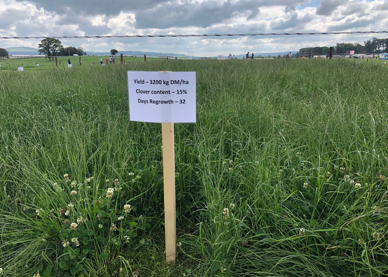Pics: See best practices for successful grass utilisation