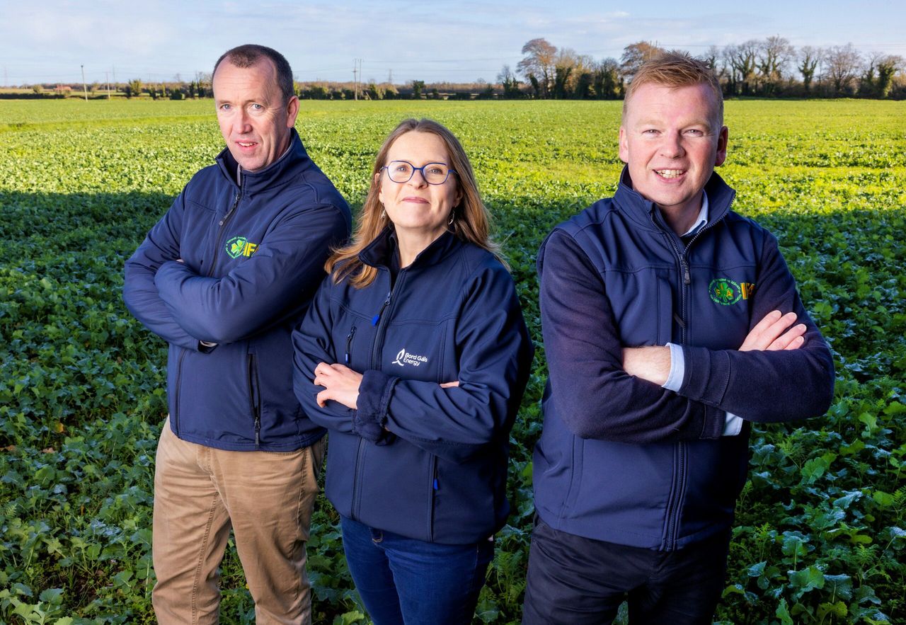 IFA and Bord Gáis Energy to offer 'rooftop solar' options