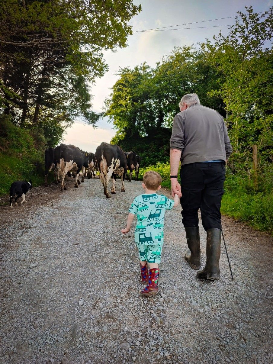 'Moment of nostalgia' claims top honours in dairy photo competition