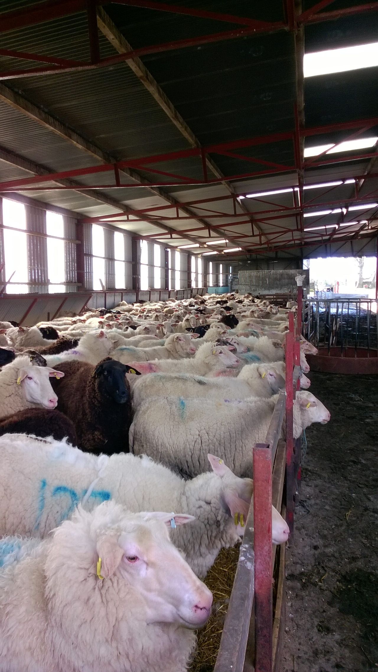 See how one Tipp dairy farmer is getting over €1/L for milk