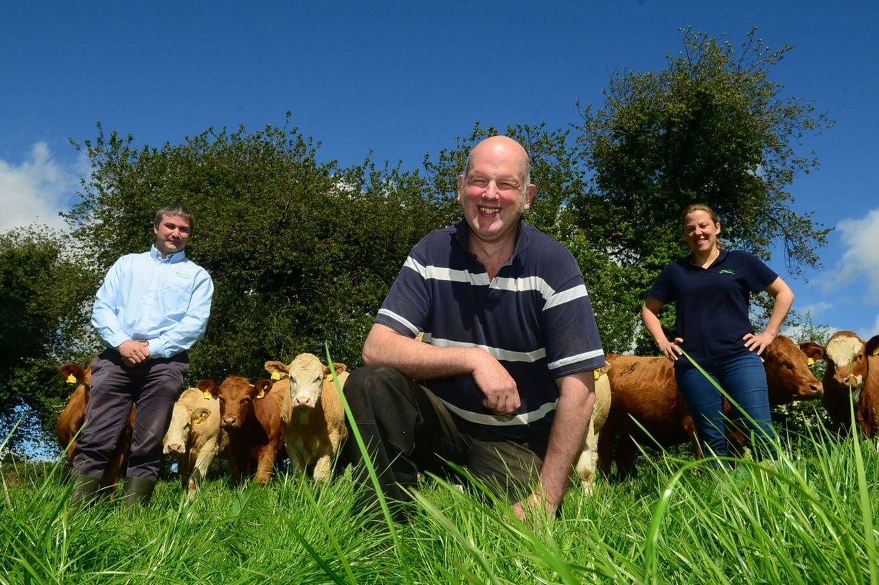 'Every animal must perform': Inside a profitable Wicklow suckler farm