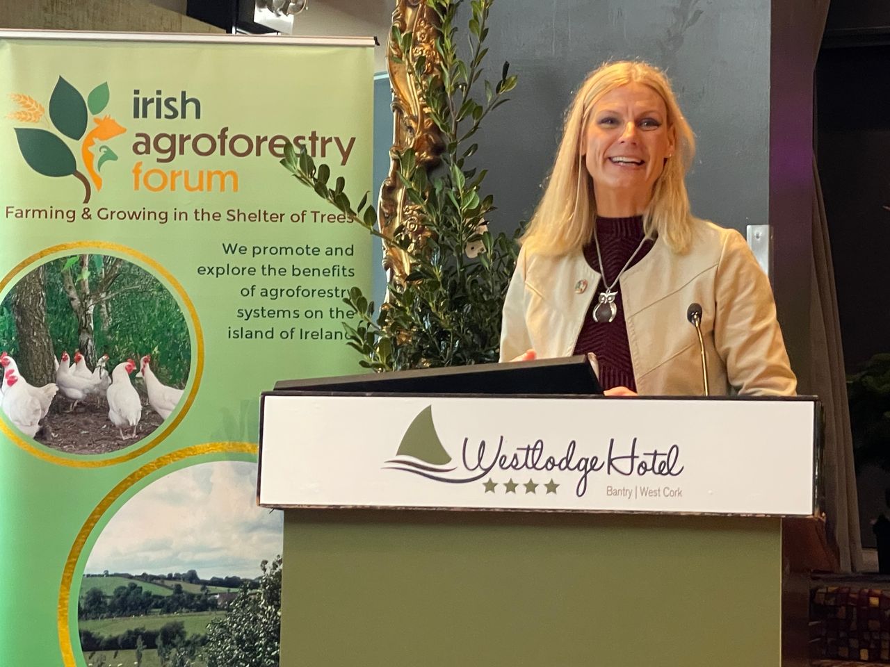 Watch: Ash dieback plan due before Cabinet in 2 weeks - minister