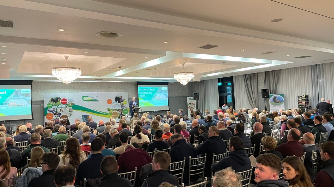 National Beef Conference set for Leitrim on November 19