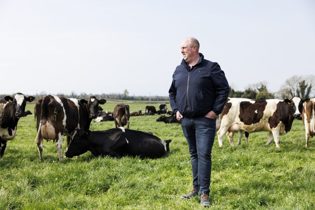 Denis Cody. Image source: Irish Grassland Association CLG