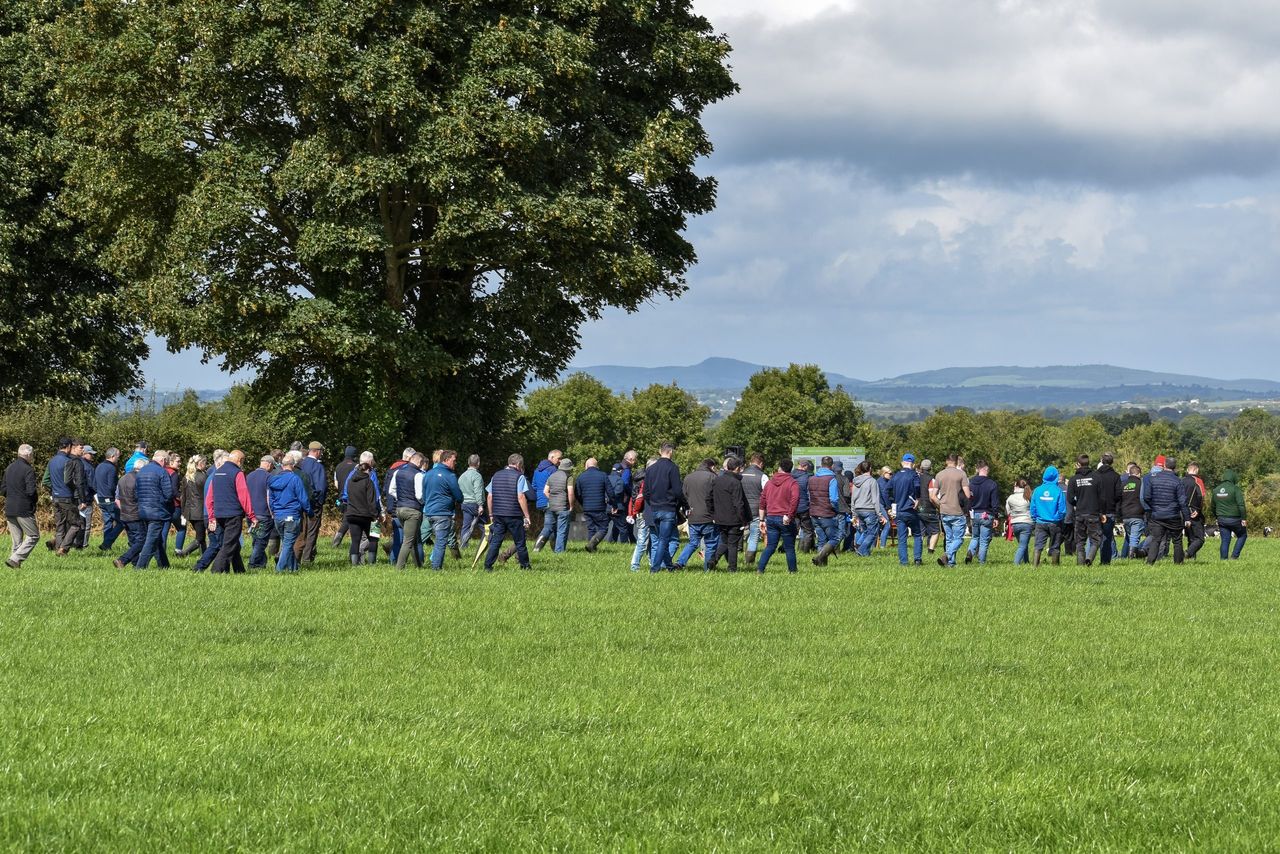 Toberfort Herd impresses at IHFA Focus Farm event