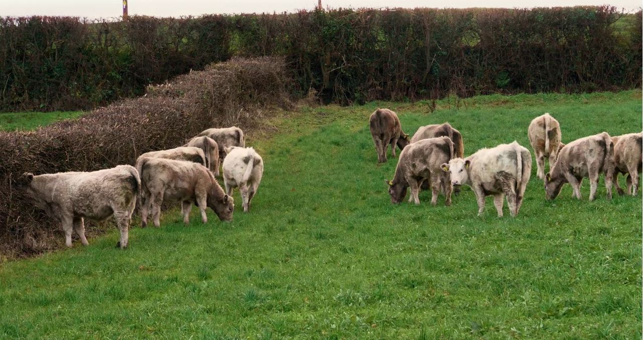 Sustainable agriculture in 2021: There’s no vaccine for climate change