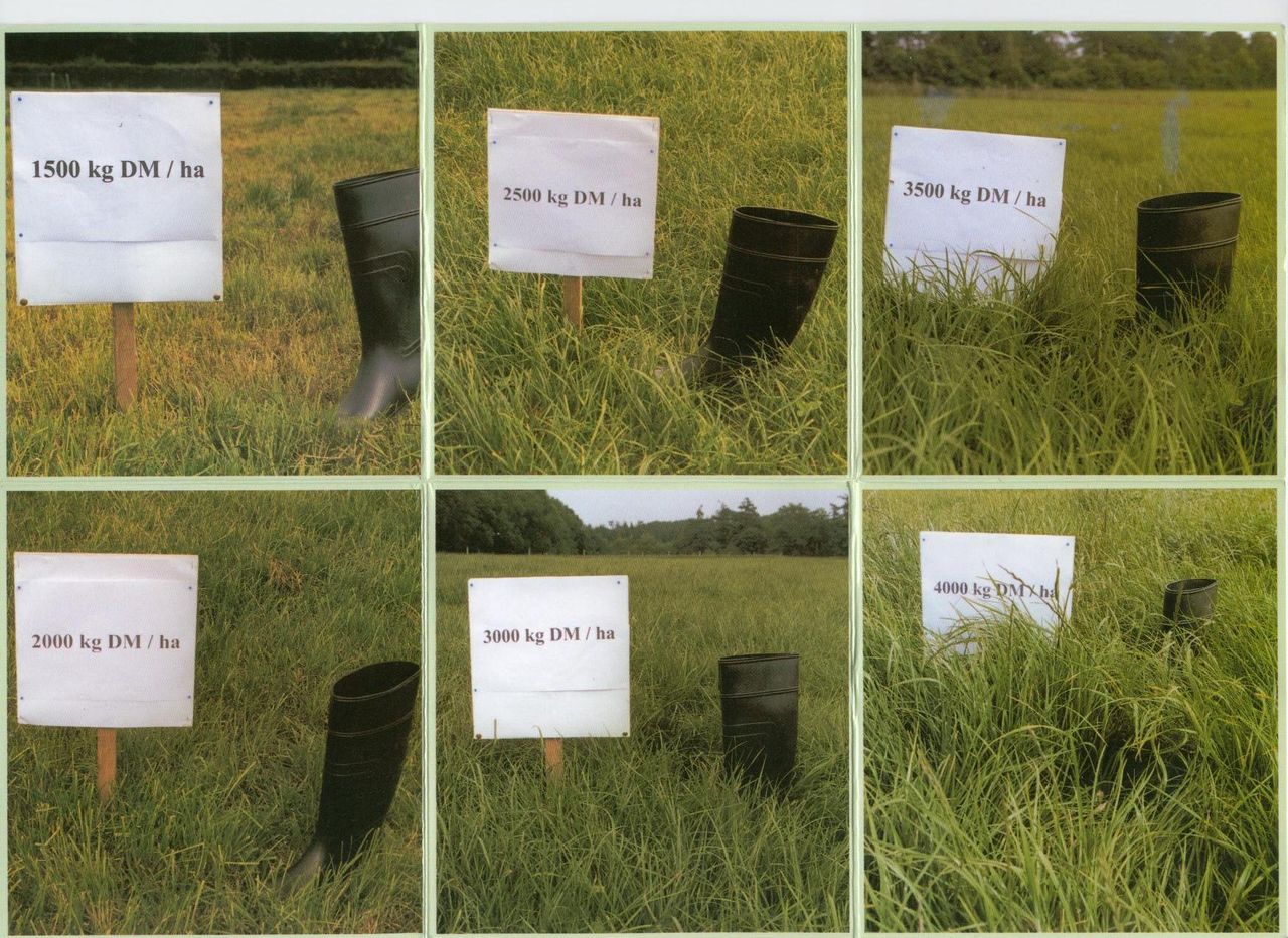It’s time to get serious about grass