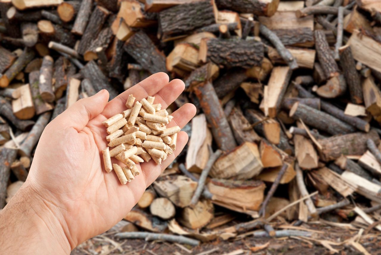Member states back proposal for EU-wide bioeconomy strategy