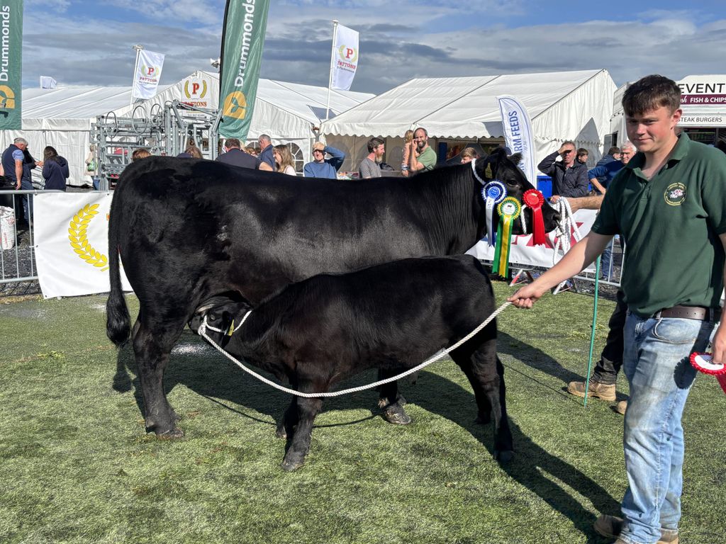 The Reserve Interbreed Champion went the way of Leo McEnroe from Lisduff Angus in Co. Cavan for his two-year-old Angus cow that was Champion Angus earlier in the show