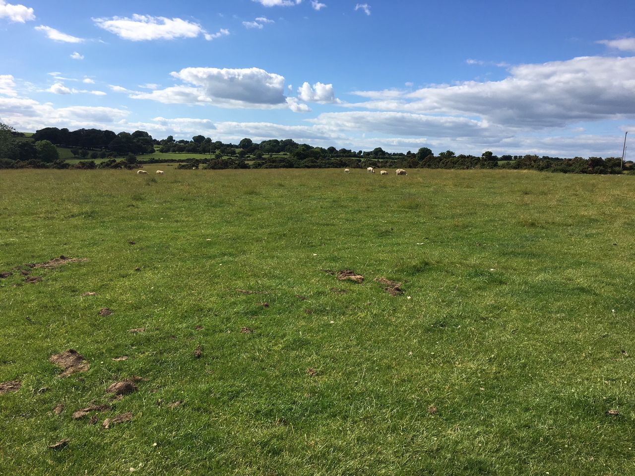 Heydon accused of being 'out of touch' when it comes to ACRES
