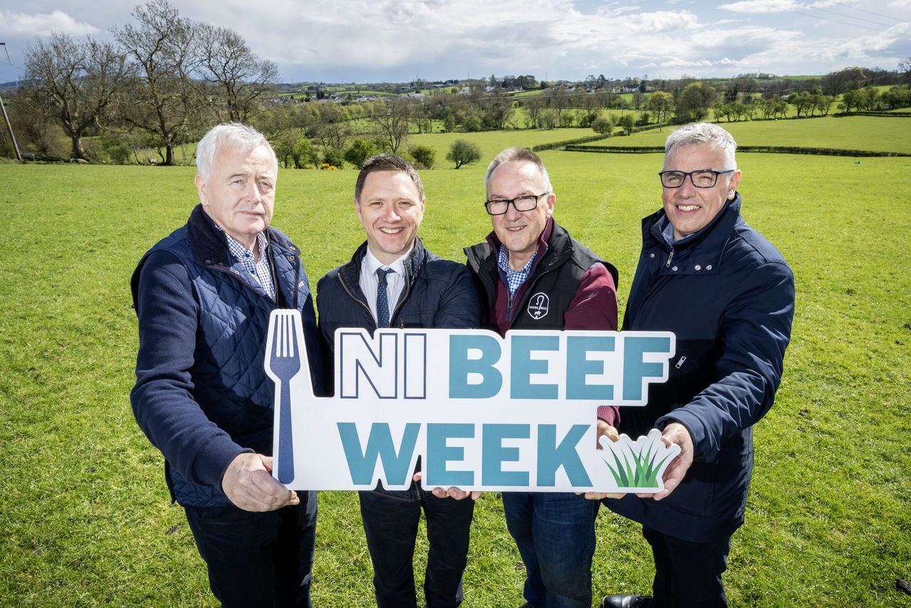 Beef Week 2025 to champion NI produce