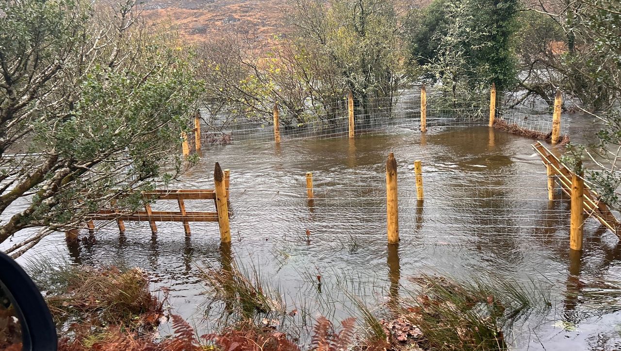 Havoc wrought in Kerry as Storm Bert floods sheep farm