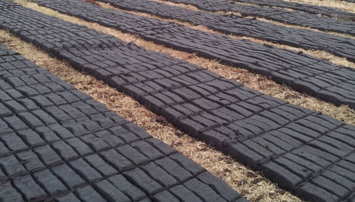 TD calls for 'definite decision' on buffer zones in turf cutting areas