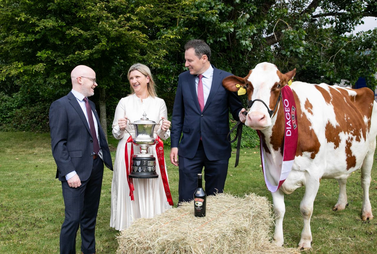 Diageo Baileys Champion Dairy Cow competition open for entries