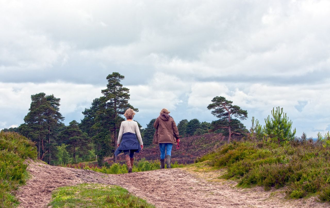 Outdoor recreation: Further protections in the pipeline for landowners in upland areas