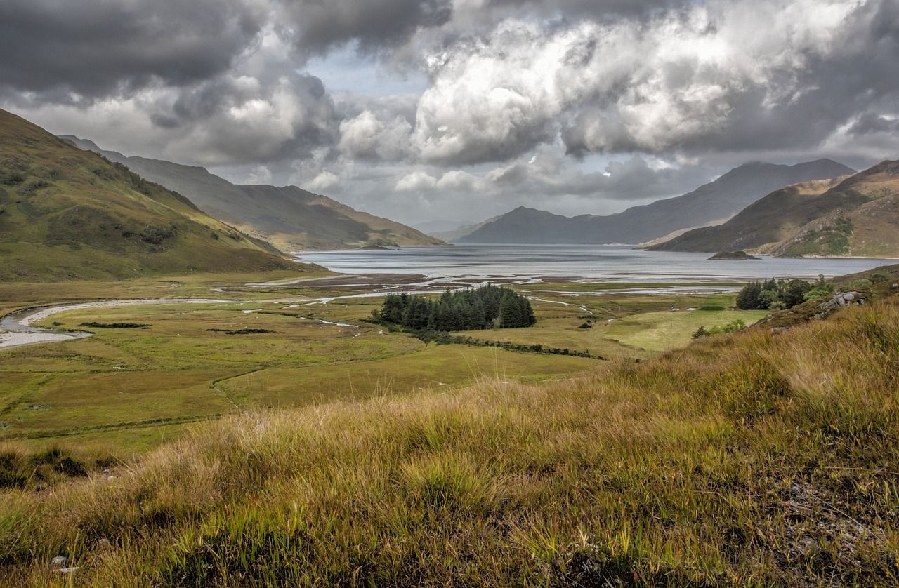 Applications open for farm innovation visit to Scotland