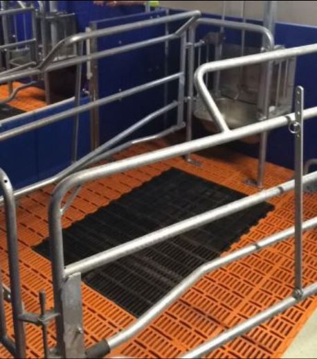 Farmers get a behind the scenes look at Teagasc's new €3.5m Pig Development Unit