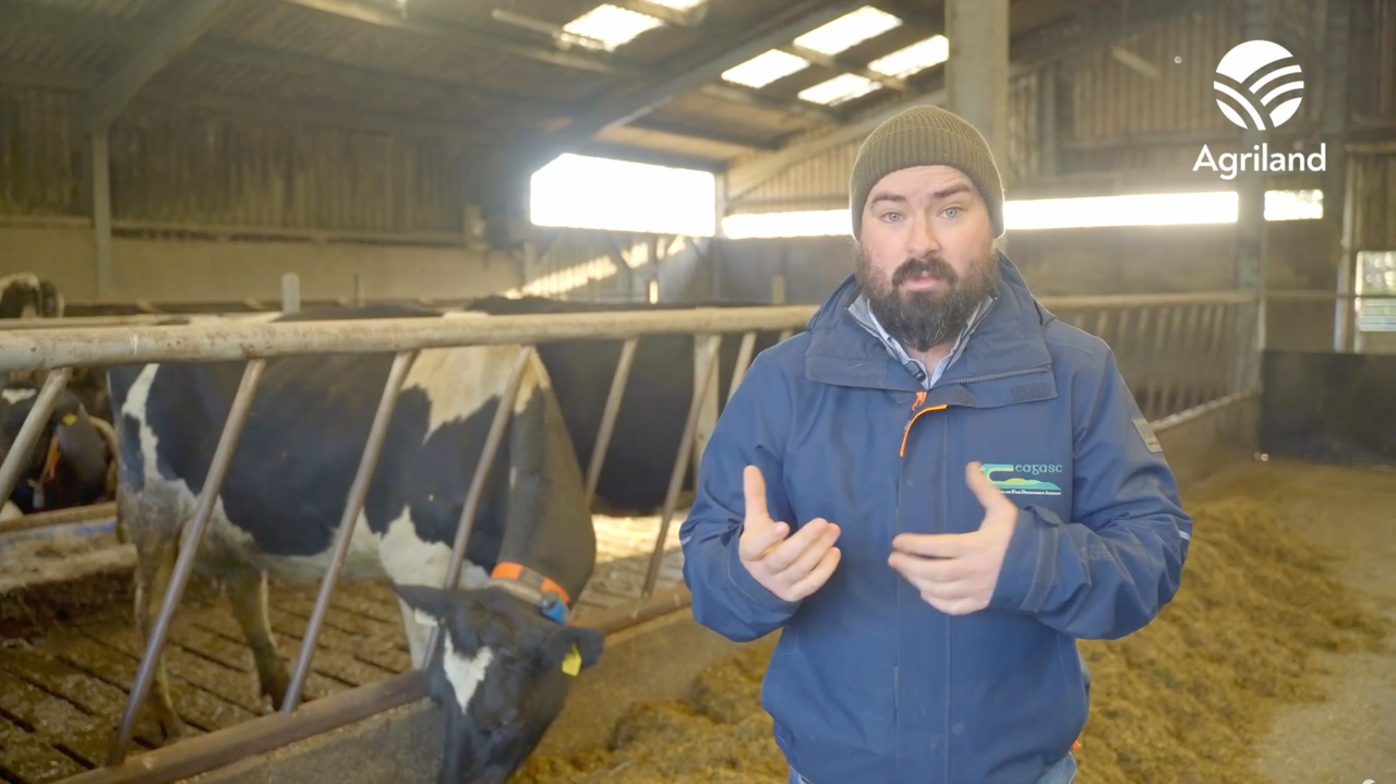 Top tips for the winter breeding season