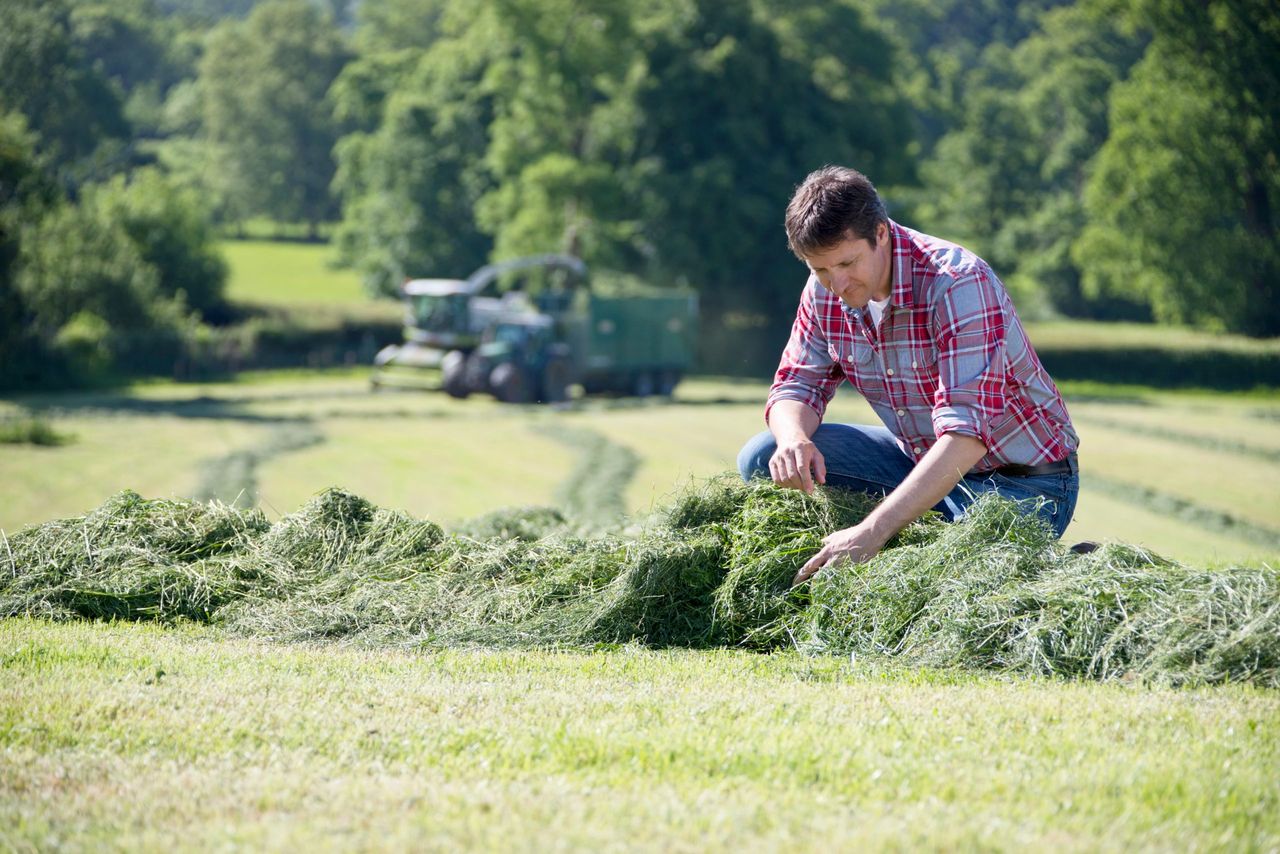 How many people failed the Active Farmer Check in 2025?