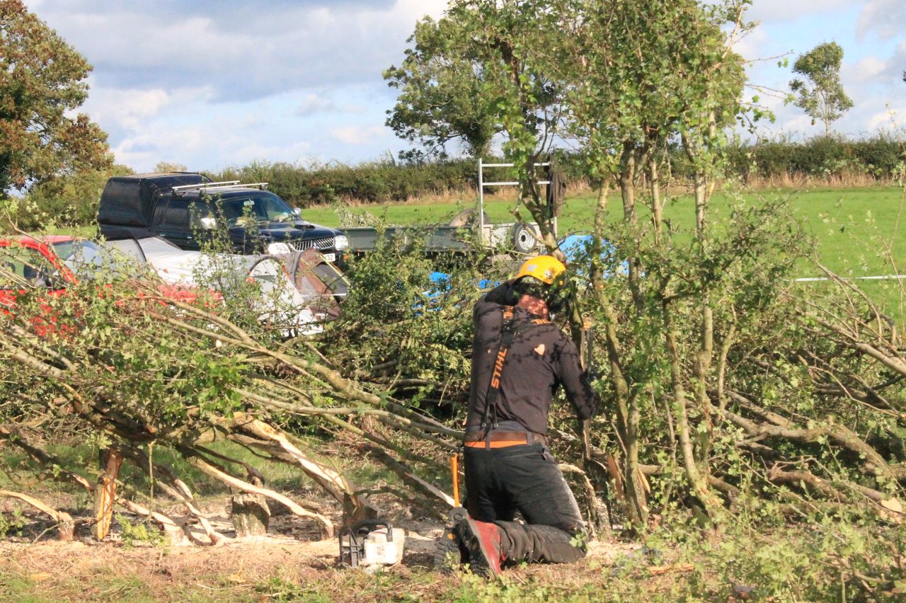 All-Ireland Hedge Laying Championships set for Down this weekend