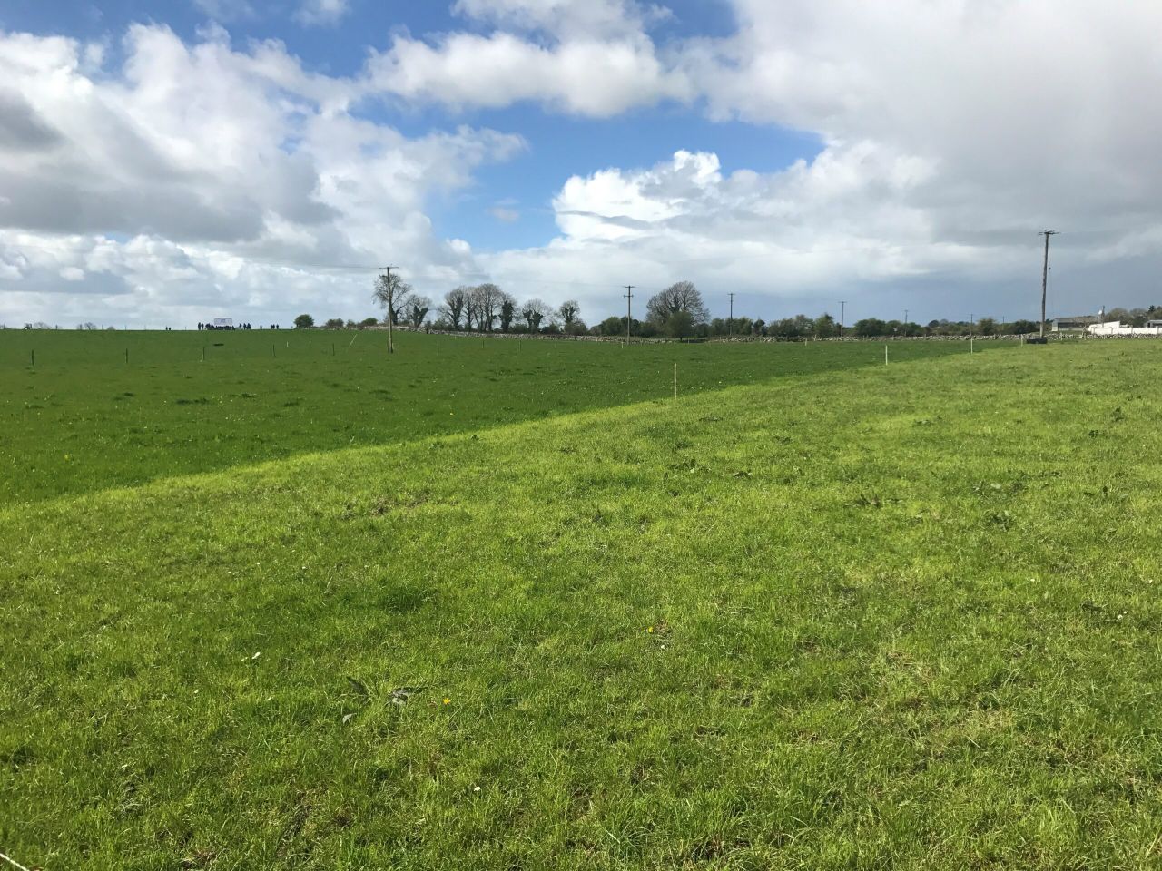 What size should my paddocks be and how many do I need?