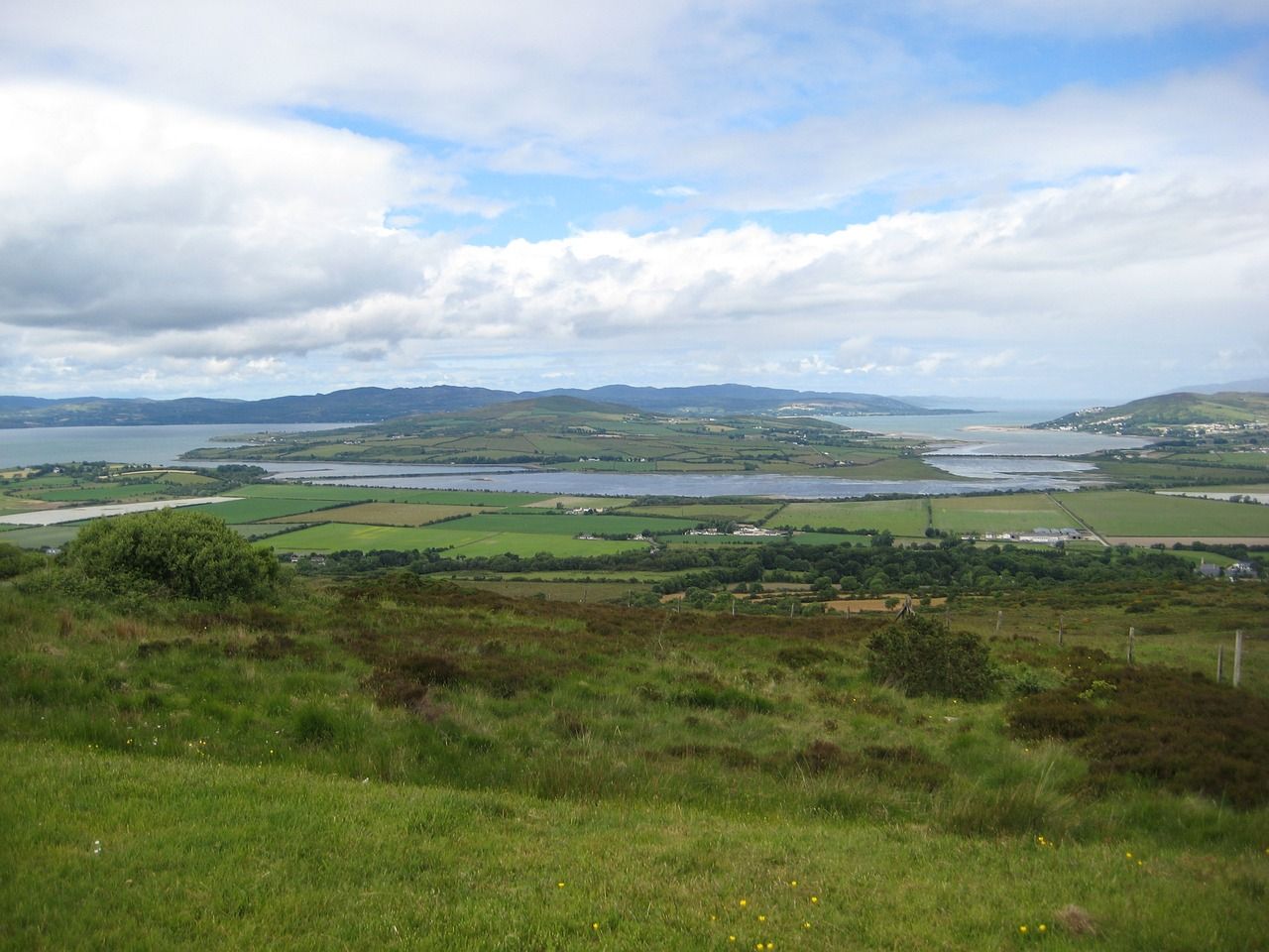 Over 20 TDs and senators own farmland nationwide