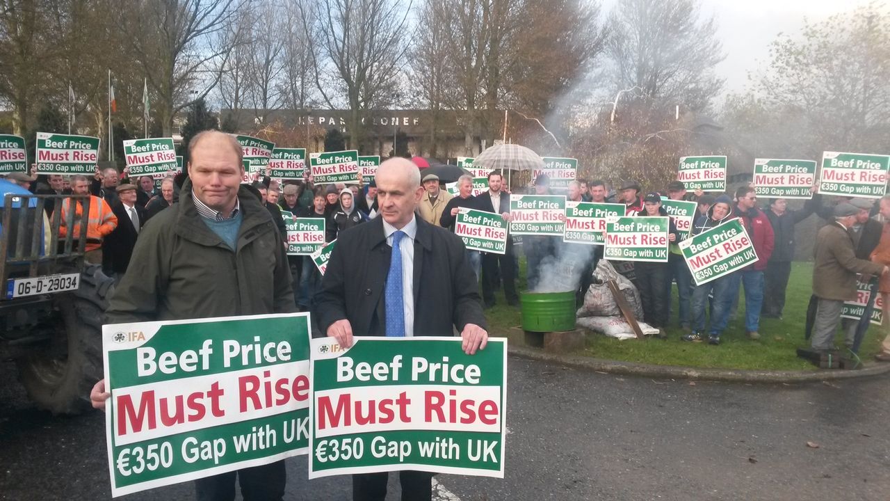 Processors condemn IFA's 48-hour protest as 'irresponsible'