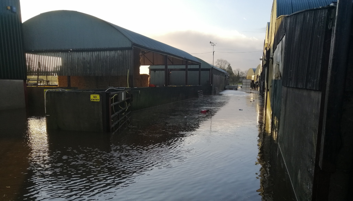 IFA calls for implementation of farmyard relocation scheme