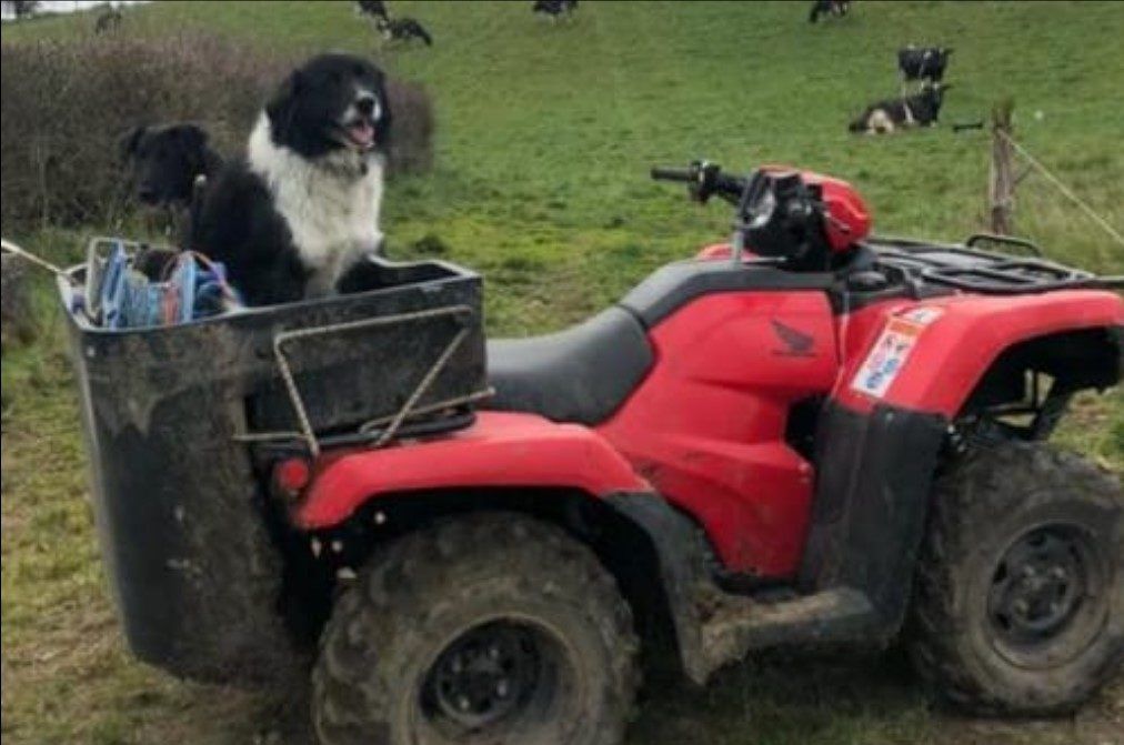 Quad stolen from farmyard in overnight raid