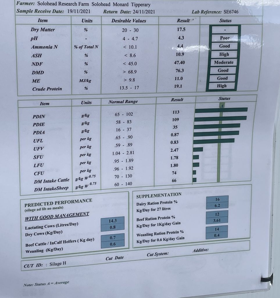 Better-quality red clover silage