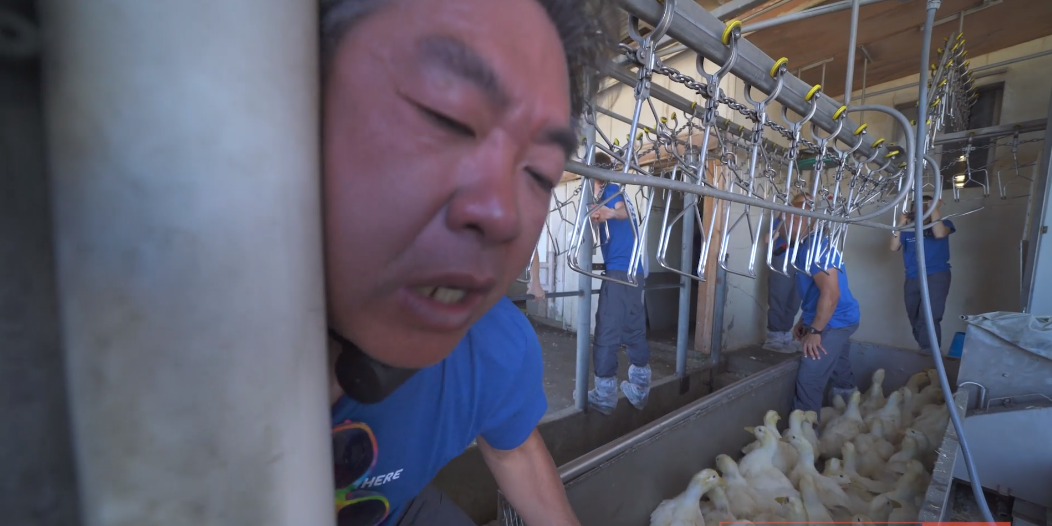 Video: Activist almost killed after locking neck to factory line