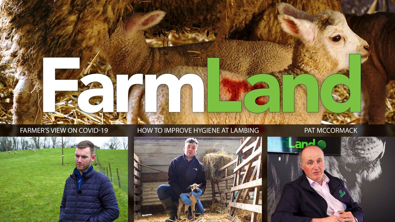 This week's FarmLand: Covid-19, river management and hygiene at lambing