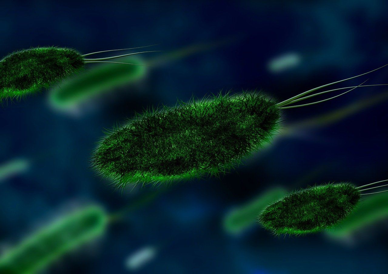 Research: Antibiotic removal not a 'reset button' for AMR