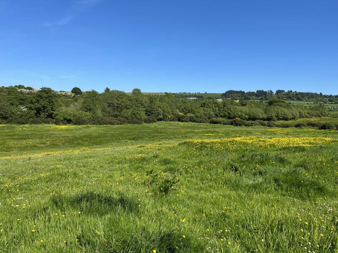 Ticknock, Oulart, Co. Wexford