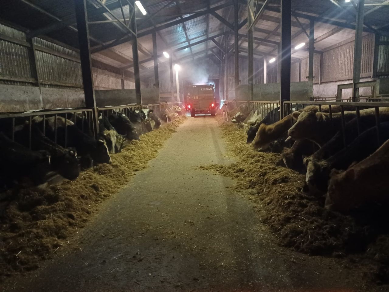 Factory quotes: Beef trade steady despite price pull at some sites
