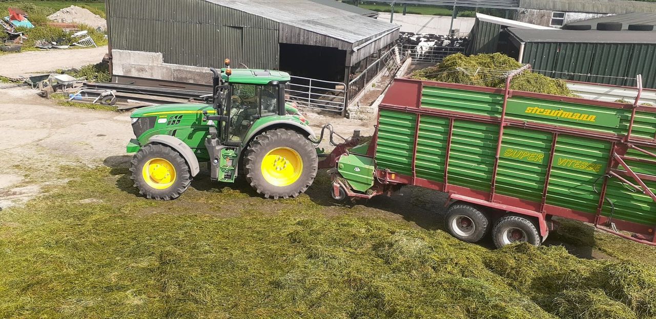 The importance of not delaying your first cut silage