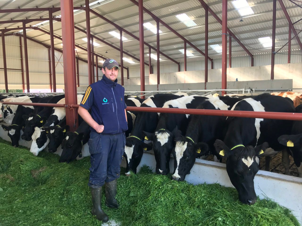 Dairy farmer fears derogation reduction could cost him €40,000/year