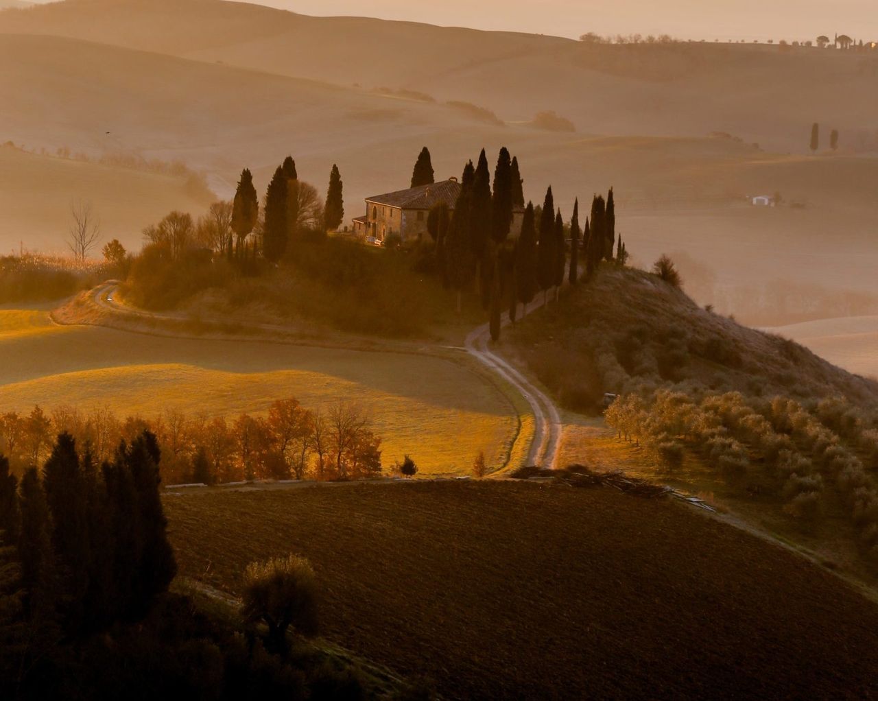 Italian farmers in line for €1.2 billion support scheme