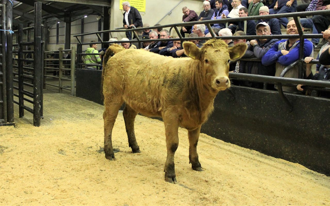 Memo to AgriLand: 'The next minister of agriculture has a lot of work to do'