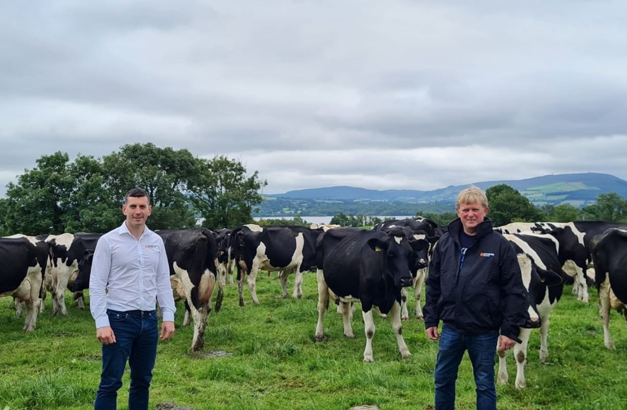 Munster Bovine milk records 500,000 cows in 2021 so far