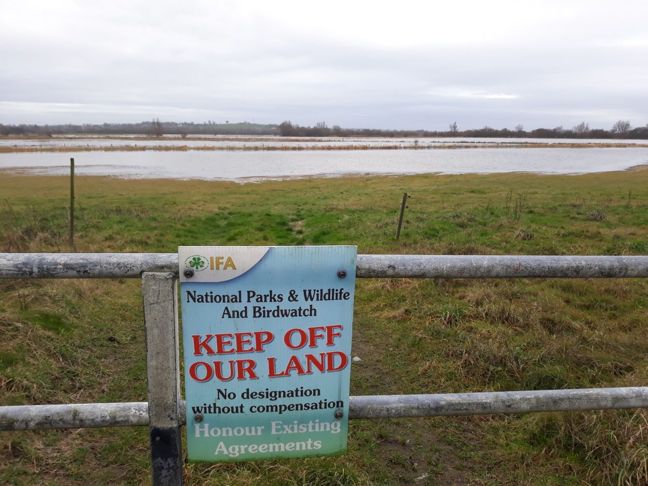 Calls made for Shannon Callows funding to be restored