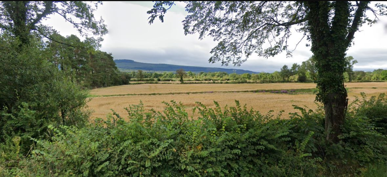 IFA deputy president demands level playing field for tillage sector