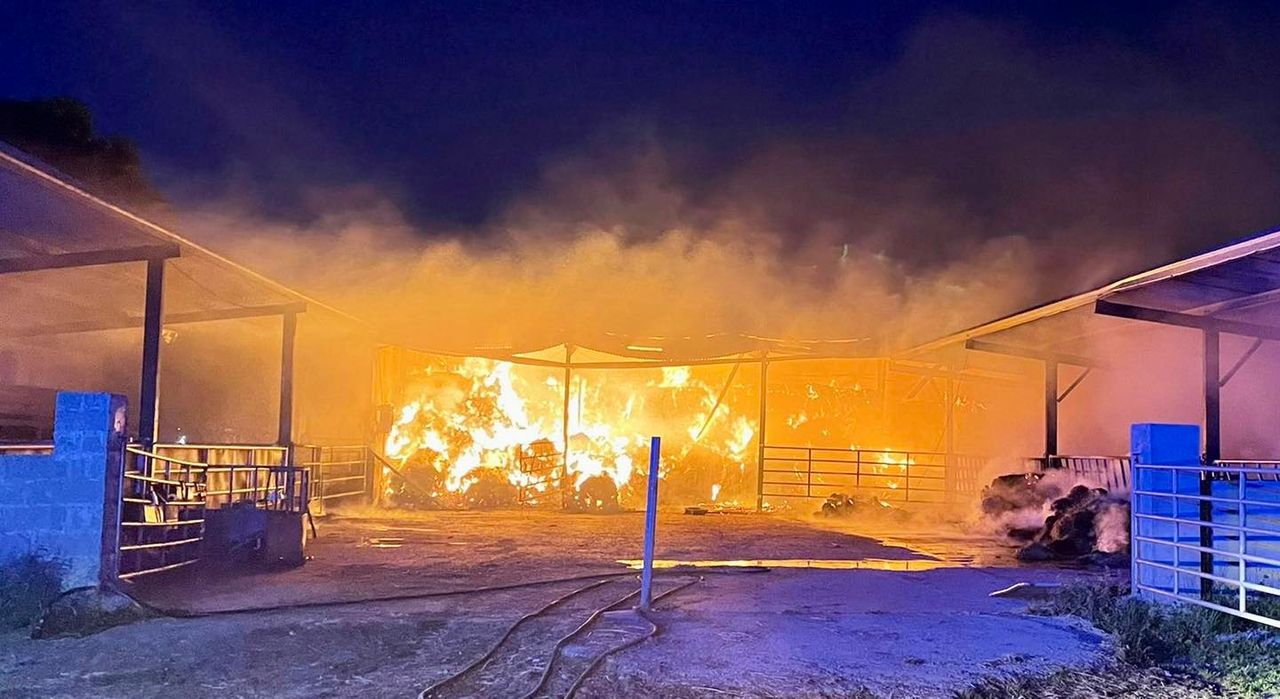 Gardaí investigate several fires set at Westmeath horse yard
