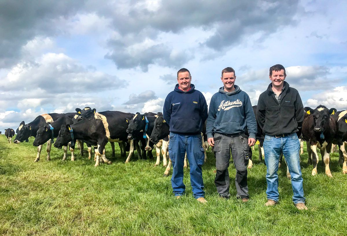 Band of brothers: Why this beef farmer influenced his dairy siblings on sire selection