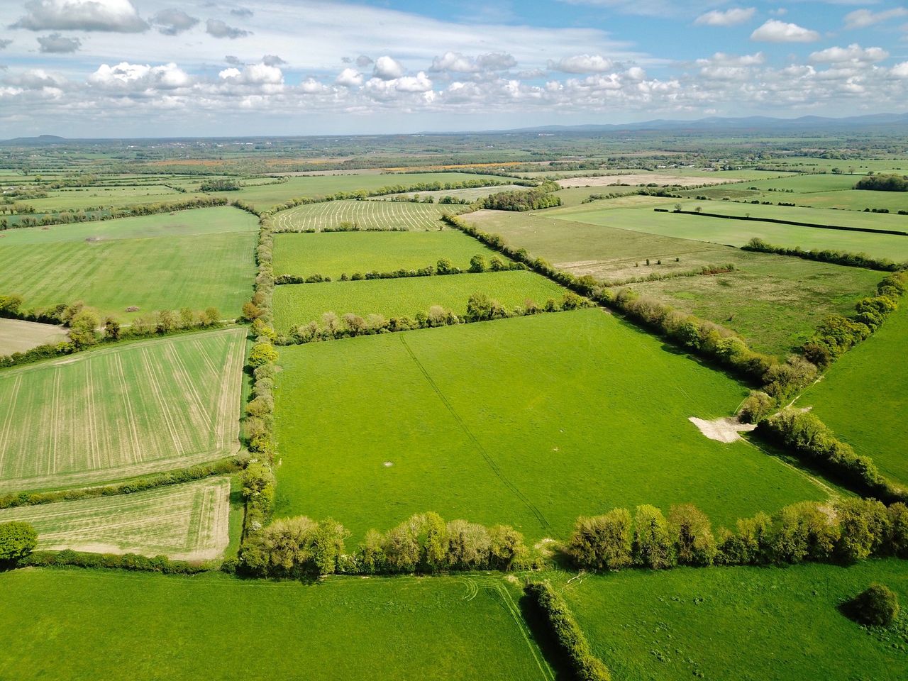 93ac in Kildare guiding at €12,000/ac, with 'Fontstown' series soil