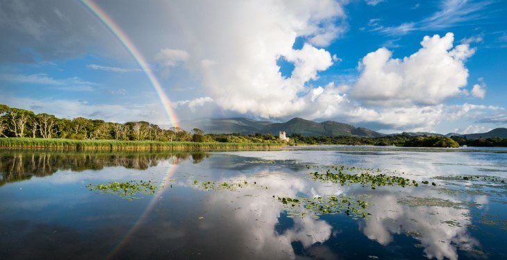 Ireland to recommence the purchase of carbon credits