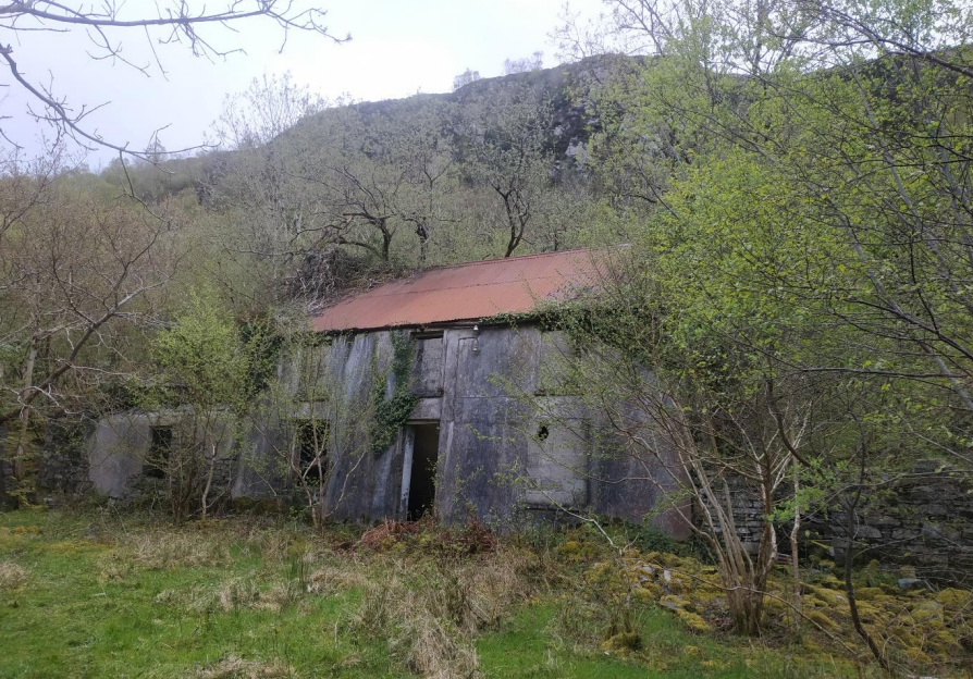 NPWS to renovate derelict farmhouse to enhance bat roost